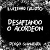 Luizinho Calixto - Desafiando o Acordeon