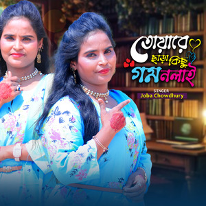 তোয়ারে ছাড়া কিছু গম নলাই