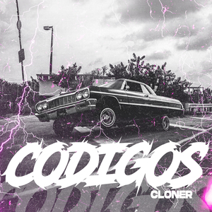 Codigos