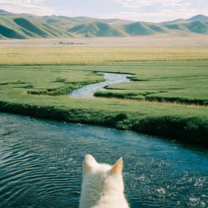 金玉良缘(就算是天定的良缘也会有辛苦)