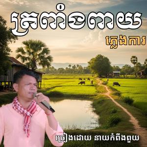 បទ _ ត្រពាំងពាយ ភ្លេងការ ពីរោះរណ្តំ _ ច្រៀងដោយ នាយ កំពីងពួយ & ស្រីណេត
