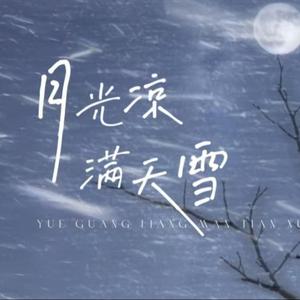 月光凉满天雪（又是加班到深夜）