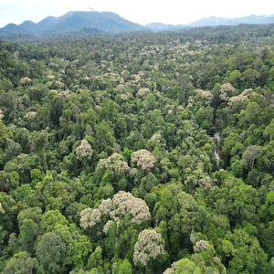 Berdamai Dengan Waktu