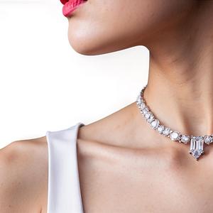 迷雾中的白天鹅