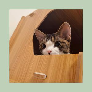 그대를잊는다는건（忘记他的这件事）【翻唱，原唱：Davichi】