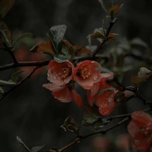 3.16(Prod by RedRumMusic)