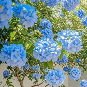 指纹 伴奏