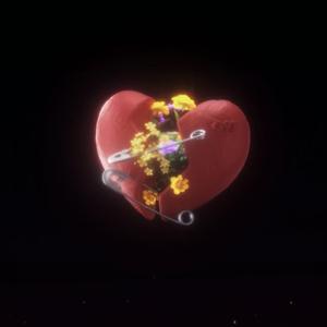 以我喜欢的女孩子命名