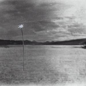 For Jackie Dean Yee 5.7.23