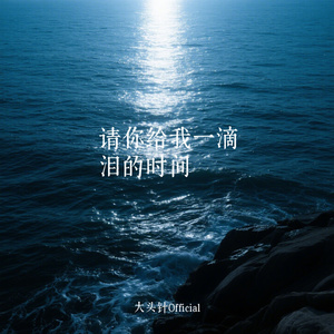 请你给我一滴泪的时间