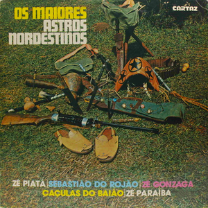 Meus Canarinhos