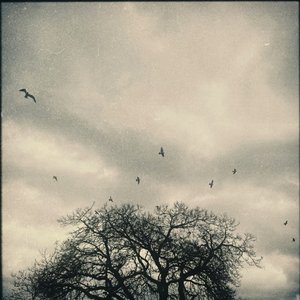 wave to earth-Homesick （traneivxangel remix）