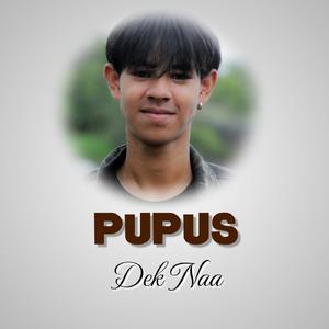 Pupus
