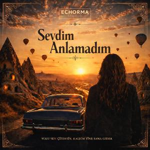 Sevdim Anlamadım