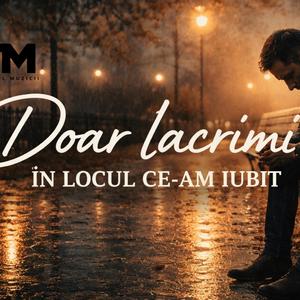 Bun gasit singuratate