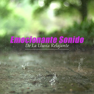 Relaja Tu Cuerpo Y Tu Mente