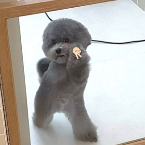 thingsudo2me (sped up)