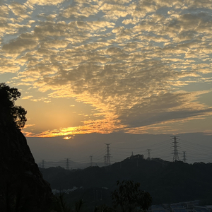 假如我能一夜暴富