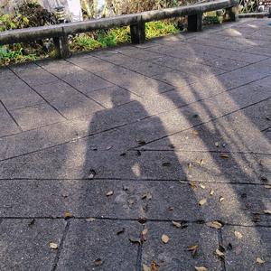 星星在唱歌（cover Mango Daddy）