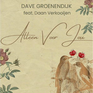 Alleen Voor Jou (feat. Daan Verkooijen)