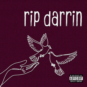 Rip Darrin