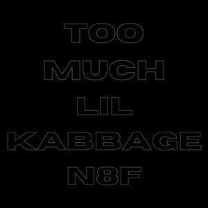 TOO MUCH (feat. N8F)