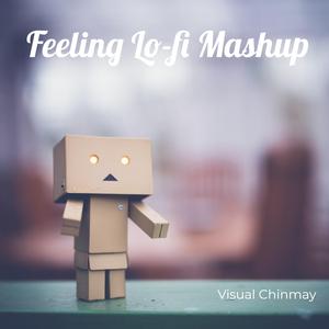 Feeling Lo-fi Mashup