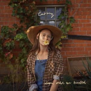 kangoeroes in australië