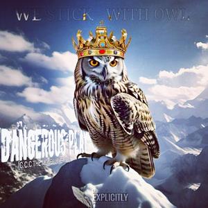 Dangerous play (we stick with owl)