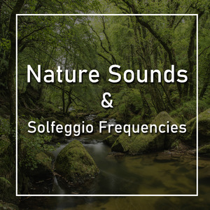 Stream Sound and Solfeggio 741 Hz