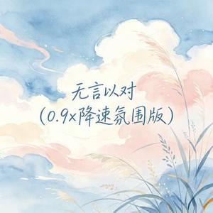 无言以对 (0.9x 降速氛围版)