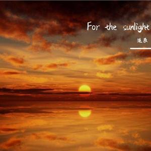 For The Sunlight