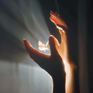 成为自己的太阳（语录版）