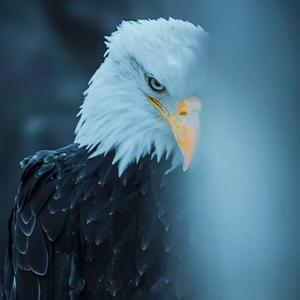 ne néglige pas la sensibilité