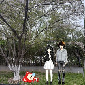 放学后我们在公园里直到天黑