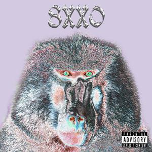 Hirnamputiert (feat. Sory)