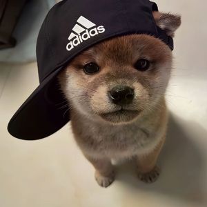 黄昏把影子拉成思念的心弦