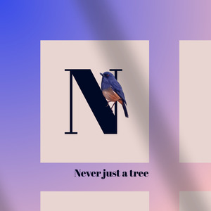 I Love You When It Rains