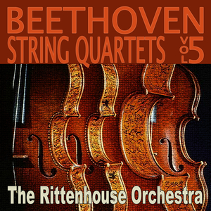 String Quartet No.11 in F minor, Op.95, II. Allegretto ma non troppo