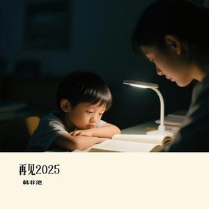 再见2025