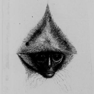 Steel Sharpen Steel (feat. Nohokai)