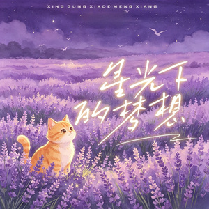 星光下的梦想 (怀念童年版)