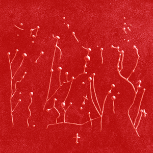 Veleno (Tiraya Salvaje Remix)