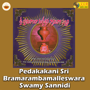 Pedakakanilo Velasina