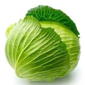 cabbage