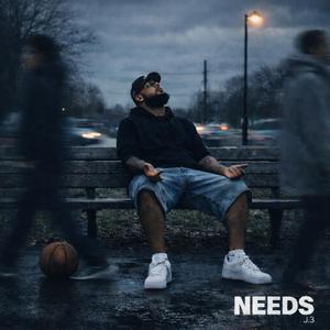 NEEDS