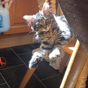 Я нещасна, але ти..