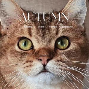 Baby Don't you Know kiss me ok