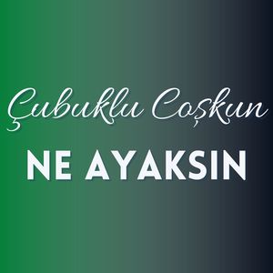 Ne Ayaksın