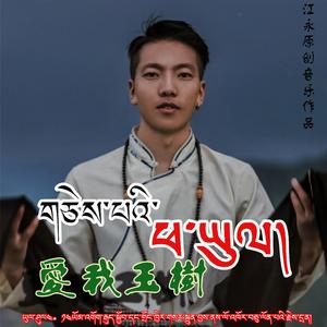 爱我玉树